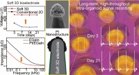 [2025] Soft 3D Bioelectrodes for Intra-Organoid Signal Monitoring in Cardiac Models