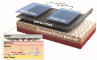 [2019] Interactive Skin Display with Epidermal Stimuli Electrode