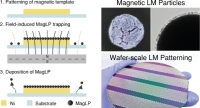 [2026] Large-scale and High-resolution Patterning of Magnetic Liquid Metal Nanohybrid for Stretchable Circuits
