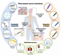 [2025] Emerging fiber-based neural interfaces with conductive composites