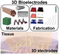 [2021] 3D Electrodes for Bioelectronics