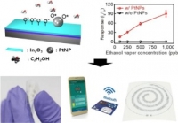 *[2018] Alcohol Gas Sensors Capable of Wireless Detection Using In2O3/Pt Nanoparticles and Ag Nanowires