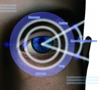 [2020] Recent Advances in Smart Contact Lenses