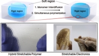 [2024] Rugged Island-Bridge Inorganic Electronics Mounted on Locally Strain-Isolated Substrates